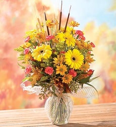 http://www.1800flowers.com/800f_assets/images/flowers/images/shop/catalog/16188.jpg