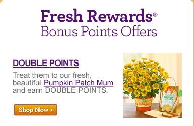 Fresh Rewards? Bonus Points Offers Double Points Treat them to our fresh, beautiful Pumpkin Patch Mum and earn DOUBLE POINTS. &gt;&gt;Shop Now 