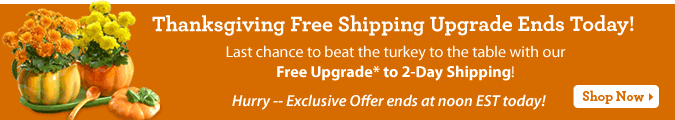 Thanksgiving Free Shipping Upgrade Ends Today!  Last chance to beat the turkey to the table with our Free Upgrade* to 2-Day Shipping! Hurry -- Exclusive Offer ends at noon EST today! Shop Now.