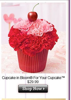 Cupcake in Bloom® For Your Cupcake™ $99