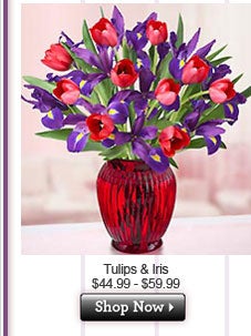 Tulips & Iris $99$99