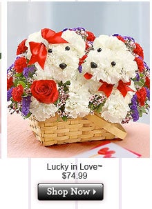 Lucky in Love $99