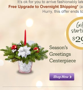  Flowers Free Shipping on 800 Flowers Com Coupons  Free Shipping Upgrade  Guaranteed Christmas