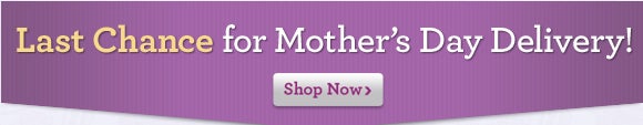 Last Chance for Mother's Day Delivery!