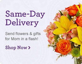 Same-Day Delivery
Send flowers & gifts for Mom in a flash!
Shop Now 