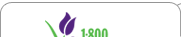 1800Flowers.com