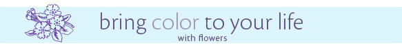 Bring color to your life