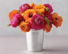 Martha Stewart from 1-800-Flowers.com