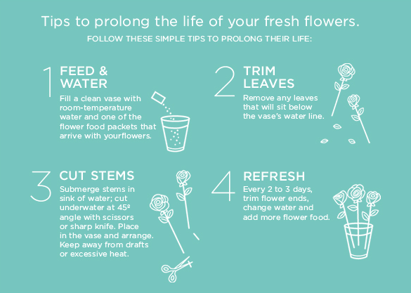 Tips to prolong the life of your fresh flowers.