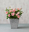 GALVANIZED METAL PLANTER