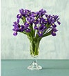 TRUMPET VASE