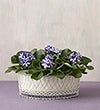 WIREWORK BASKET