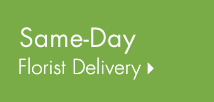 Same-Day Delivery