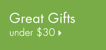 Great Gifts Under $30