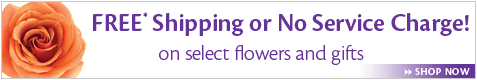 Free Shipping