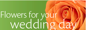 Flowers for your Wedding Day
