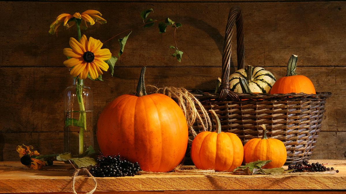 Autumn still life with pumpkins and flowers