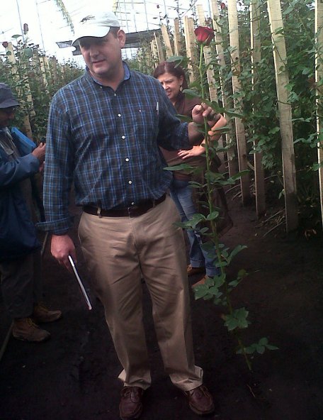 Kevin at the flower farms with a rose. Kevin at the flower farms with a rose.