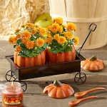 festive-fall-pumpkin-hayride