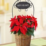 Happy Holidays Poinsettia