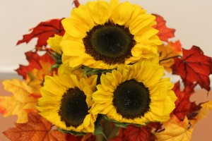 Trimmed Sunflowers for Sunflower Turkey Trimmed Sunflowers for Sunflower Turkey