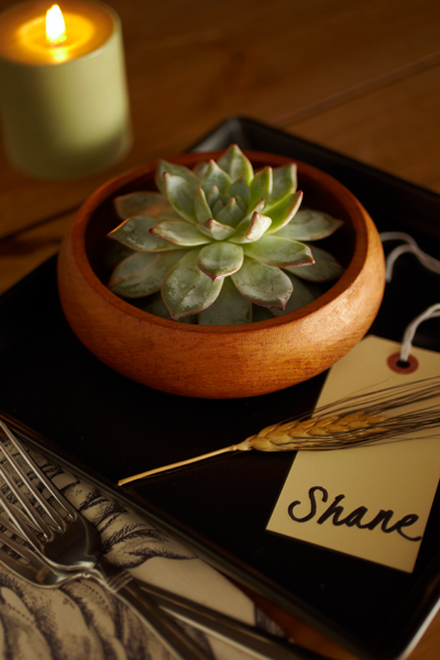 zen-place-setting