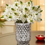 Star of Bethlehem Bouquet