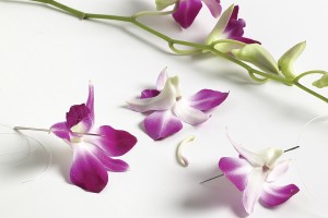 Thread orchids to make a Hawaiian lei. Thread orchids with needle to make a lei.