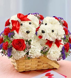 A-DOG-Able Lucky in Love
