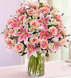 Pink Perfection