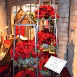 Royal Roses