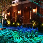 Flower Garden