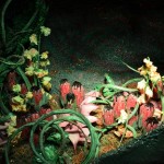 Exotic Flowers