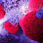 Wall of Carnations