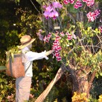 Gardener