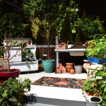 Gardening Landscape