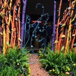 Colorful Garden Gates