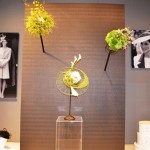 Royal Fascinators