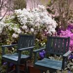 Benches in a Garden