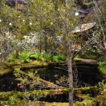 Woodsy Landscape