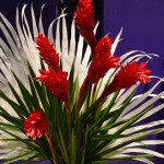 Tropical Flower Arrangement