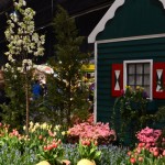 Fairy Tale Garden