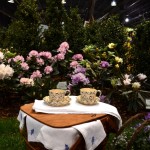 Picnic in the Flowers