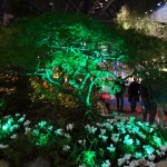 Green Flower Display