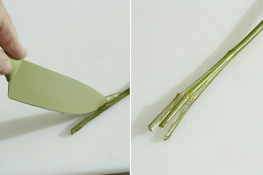 How to Make Painted Flowers | Petal Talk