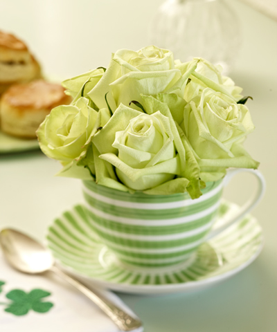 Irish Breakfast Green Roses in Tea Cup