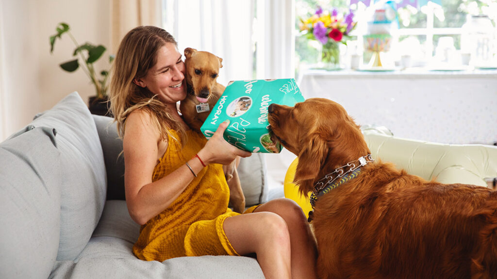 gifts for dog lovers hero