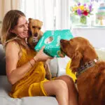 gifts for dog lovers hero