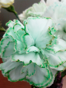 dyed green flower