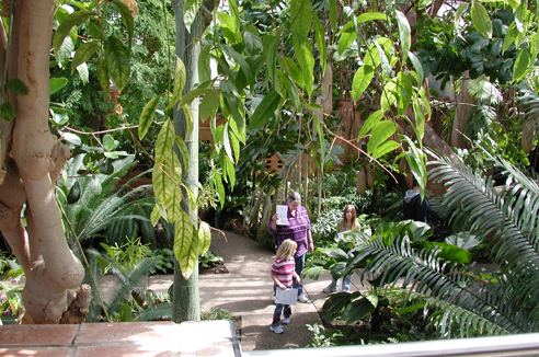 The Conservatory at the Matthaei Botanical Gardens